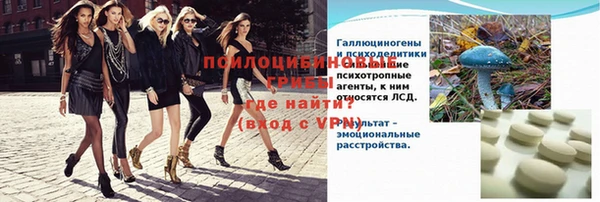 молекула духа Алексин