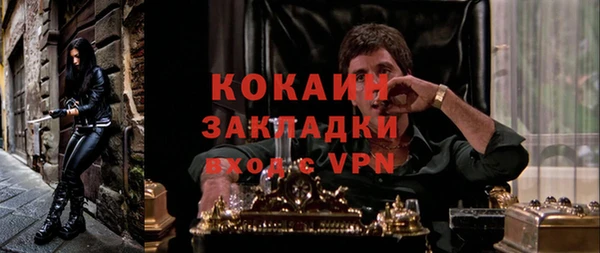 гидропоника Алзамай