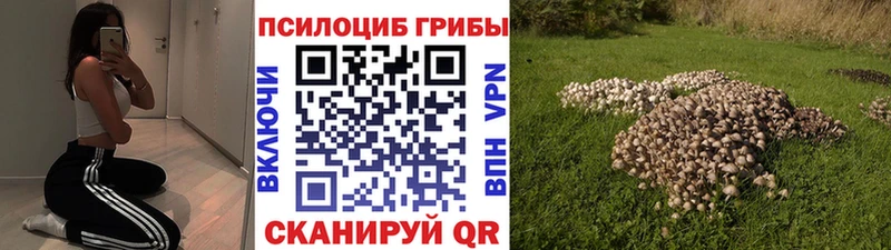 Псилоцибиновые грибы GOLDEN TEACHER  Юрьевец 